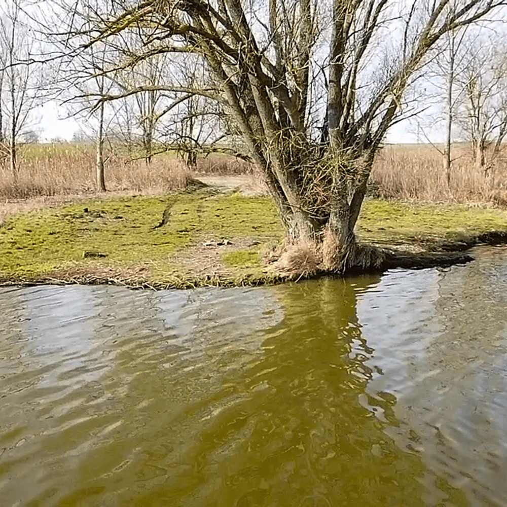 10-es horgászállás