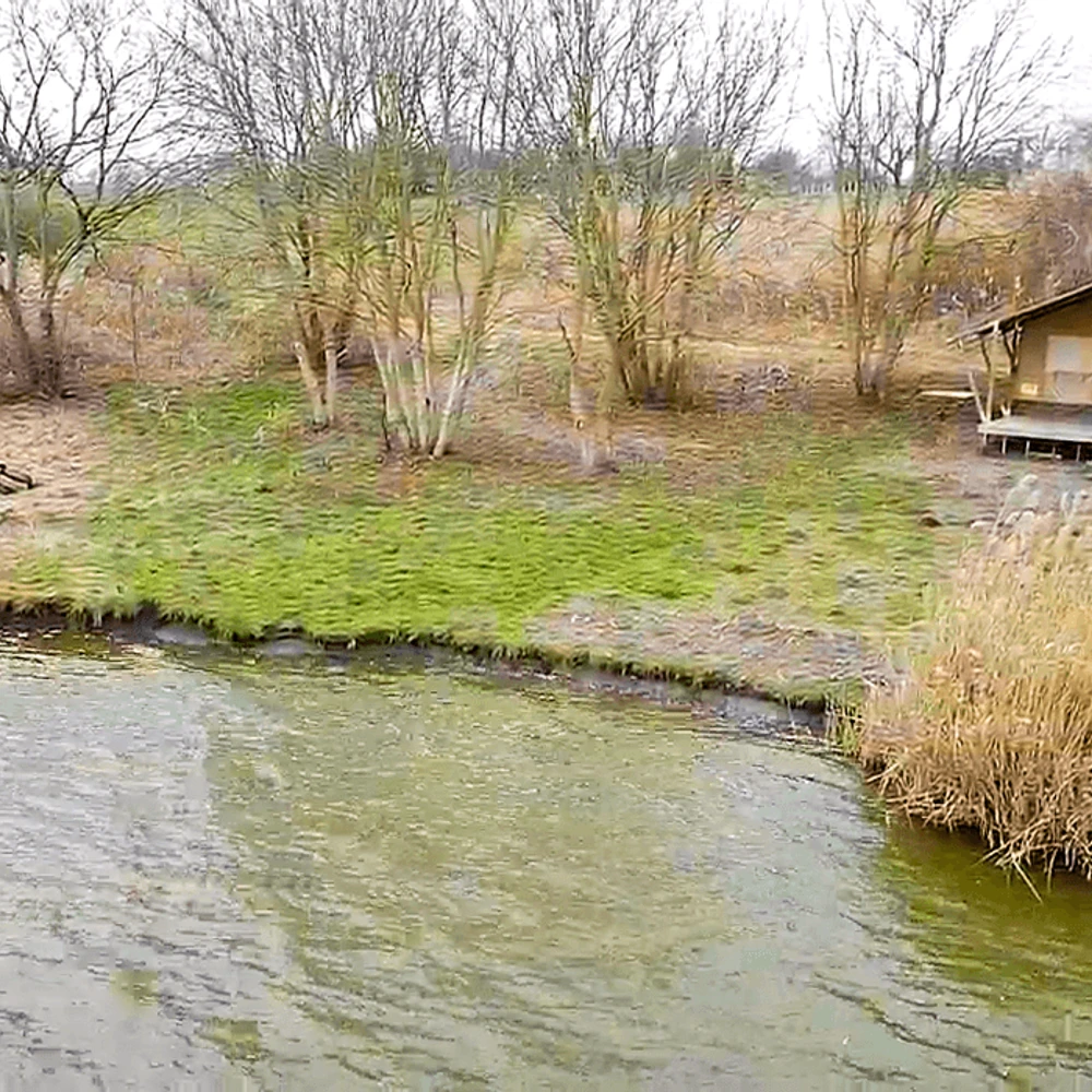 13-as horgászállás