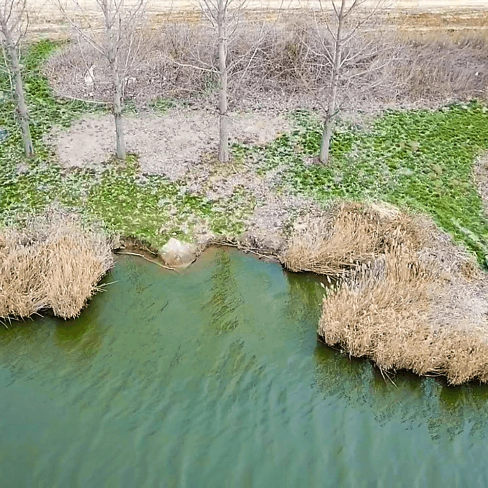 23-as horgászállás